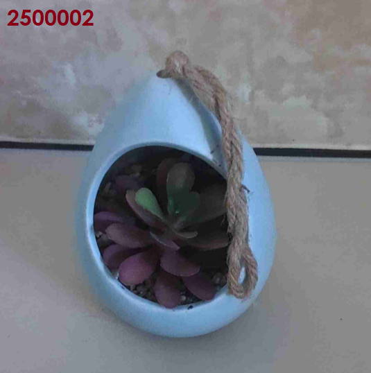 Hanging Ceramic Planter Plant