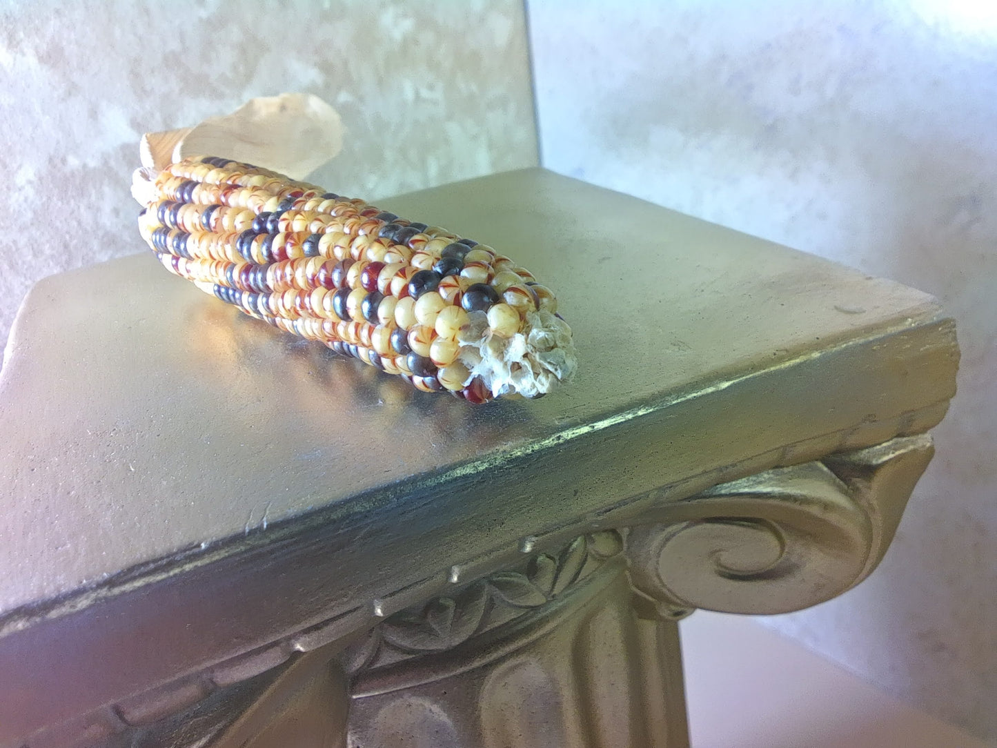 M2400112 - Decorative Dried Corn