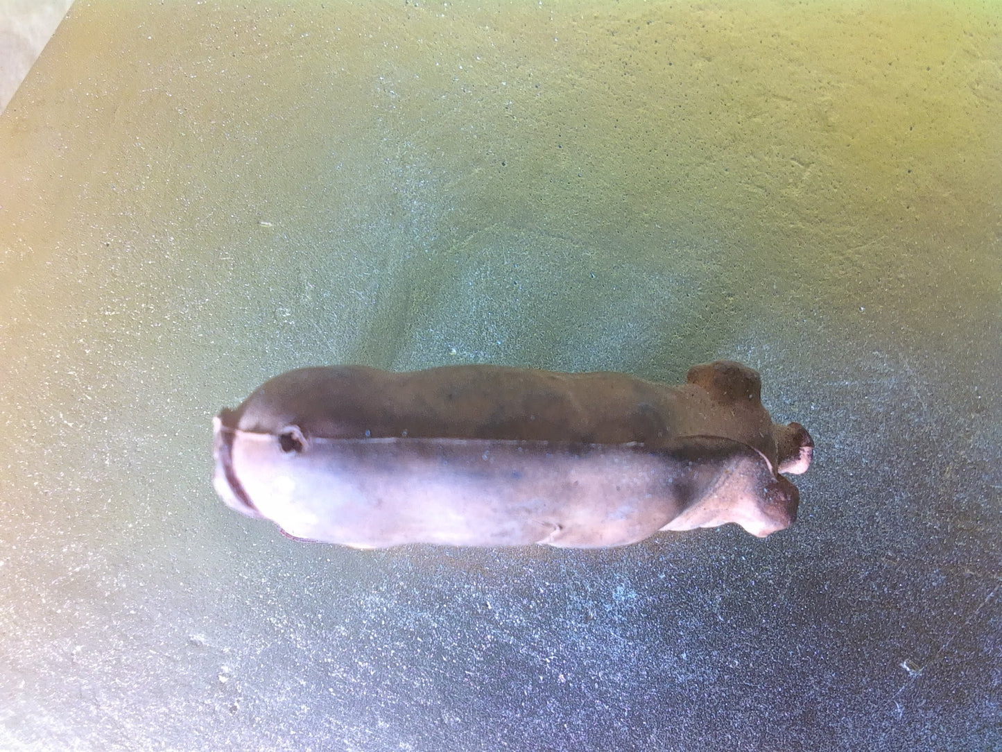 Vintage Rubber Pig Toy