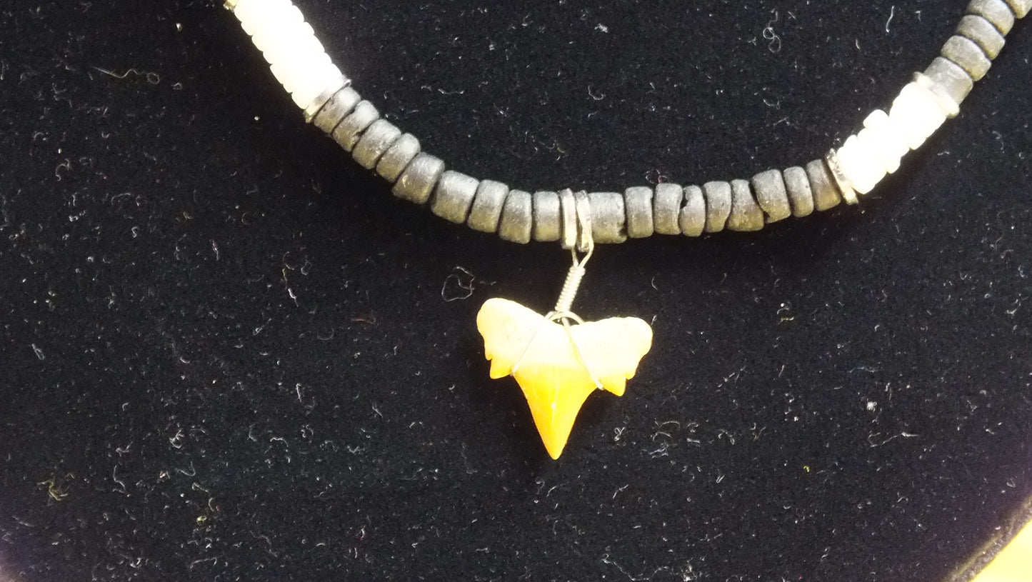 J2400010 - Vintage Black, White and Silver tone puka shell necklace with sharks tooth