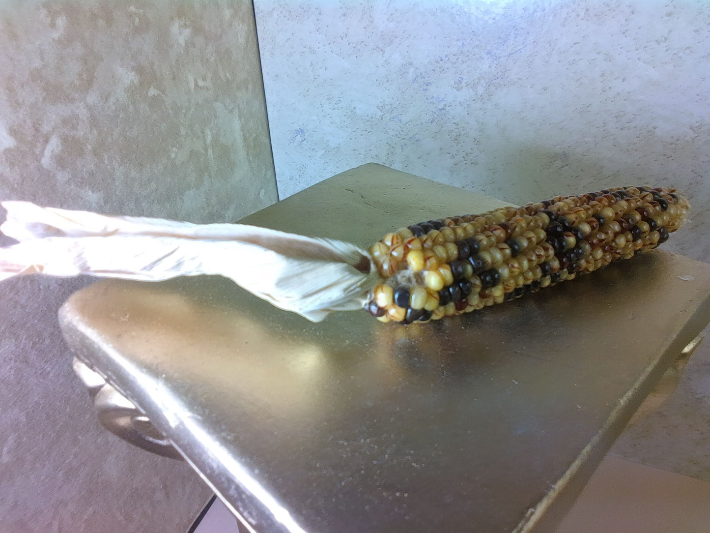 M2400112 - Decorative Dried Corn